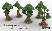 Load image into Gallery viewer, Gnarly Trees with Canopies  - Clorehaven and the Goblin Grotto15mm 28mm 32mm Wargaming Terrain D&amp;D, DnD