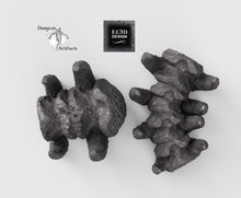 Load image into Gallery viewer, Leviathan Spinal Column with Sigils - 15mm 28mm 32mm Depths of the Savage Atoll Wargaming Terrain D&amp;D, DnD