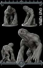 Load image into Gallery viewer, Grey Ripper - Wargaming Miniatures Monster Rocket Pig Games D&amp;D, DnD