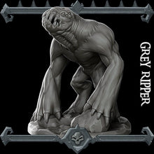 Load image into Gallery viewer, Grey Ripper - Wargaming Miniatures Monster Rocket Pig Games D&amp;D, DnD