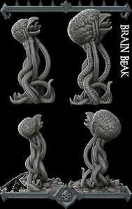 Brain Beak - Wargaming Miniatures Monster Rocket Pig Games D&D, DnD