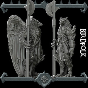 Bird Folk - Aarakocra - Wargaming Miniatures Monster Rocket Pig Games D&D, DnD