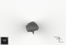 Load image into Gallery viewer, Giant Vulture - Empire of Scorching Sands Wargaming Terrain D&amp;D, DnD