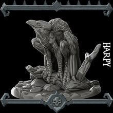 Load image into Gallery viewer, Harpy - Wargaming Miniatures Monster Rocket Pig Games D&amp;D, DnD