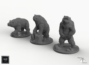 Bears - Wilds of Wintertide Wargaming Terrain D&D, DnD