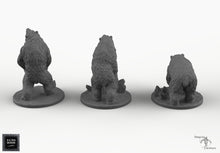 Load image into Gallery viewer, Bears - Wilds of Wintertide Wargaming Terrain D&amp;D, DnD