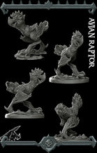 Load image into Gallery viewer, Avian Raptor - Wargaming Miniatures Monster Rocket Pig Games D&amp;D, DnD
