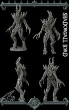 Load image into Gallery viewer, Shadowfall Lord - Wargaming Miniatures Rocket Pig Games D&amp;D DnD