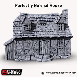 Perfectly Normal House - Shadowfey Ruins 15mm 20mm 28mm 32mm 37mm Wargaming Terrain D&D DnD