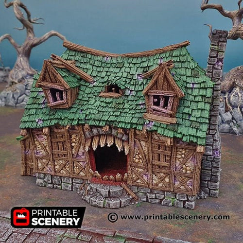 Mimic House - Shadowfey Ruins 15mm 20mm 28mm 32mm 37mm Wargaming Terrain D&D DnD