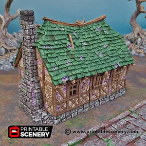 Mimic House - Shadowfey Ruins 15mm 20mm 28mm 32mm 37mm Wargaming Terrain D&D DnD