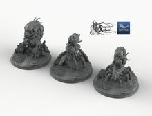Load image into Gallery viewer, The Shunned Set - Suttungr Miniatures Monster D&amp;D DnD