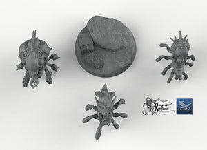 The Shunned Set - Suttungr Miniatures Monster D&D DnD