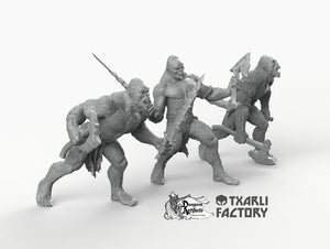 Yetis - Northern Ogres - Txarli Factory Monster D&D DnD