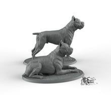 Load image into Gallery viewer, Cane Corso - Printomancer3D Printomancer Miniatures Wargaming D&amp;D DnD Dogs Dog