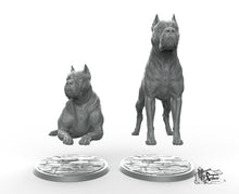 Load image into Gallery viewer, Cane Corso - Printomancer3D Printomancer Miniatures Wargaming D&amp;D DnD Dogs Dog
