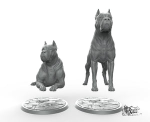 Cane Corso - Printomancer3D Printomancer Miniatures Wargaming D&D DnD Dogs Dog