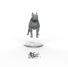 Load image into Gallery viewer, American Pit Bull - Printomancer3D Printomancer Miniatures Wargaming D&amp;D DnD Dogs Dog Pitbull