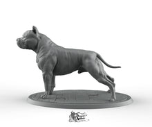 Load image into Gallery viewer, American Pit Bull - Printomancer3D Printomancer Miniatures Wargaming D&amp;D DnD Dogs Dog Pitbull