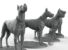 Load image into Gallery viewer, Great Danes - Printomancer3D Printomancer Miniatures Wargaming D&amp;D DnD Pack Dogs Dog