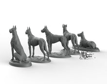 Load image into Gallery viewer, Great Danes - Printomancer3D Printomancer Miniatures Wargaming D&amp;D DnD Pack Dogs Dog