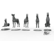 Load image into Gallery viewer, Great Danes - Printomancer3D Printomancer Miniatures Wargaming D&amp;D DnD Pack Dogs Dog