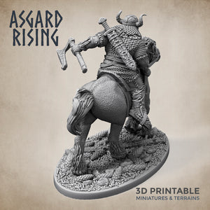 Norse Viking Rider Warband Set - Asgard Rising Miniatures - Wargaming D&D DnD