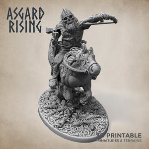 Norse Viking Rider Warband Set - Asgard Rising Miniatures - Wargaming D&D DnD