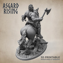 Load image into Gallery viewer, Norse Viking Rider Warband Set - Asgard Rising Miniatures - Wargaming D&amp;D DnD