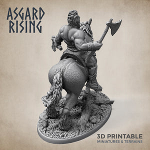 Norse Viking Rider Warband Set - Asgard Rising Miniatures - Wargaming D&D DnD