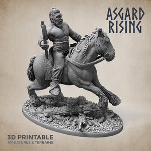 Norse Viking Rider Warband Set - Asgard Rising Miniatures - Wargaming D&D DnD
