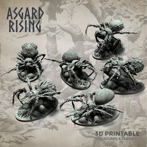 Giant Spider Modular Set - Asgard Rising Miniatures - Wargaming D&D DnD