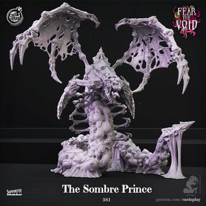 The Sombre Prince - Fear the Void - CastNPlay Wargaming D&D DnD