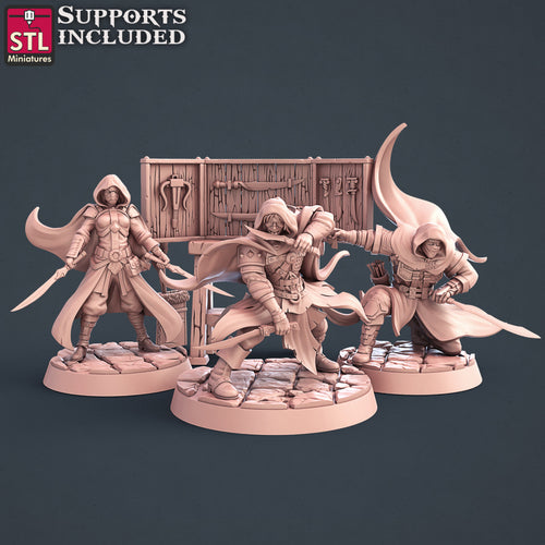 Assassins Set - STL Miniatures - Wargaming D&D DnD