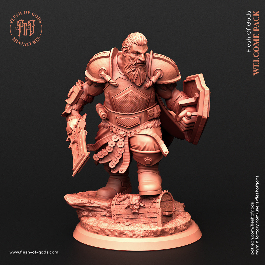 Dwarf Warrior - Welcome Pack - Flesh of Gods Wargaming D&D DnD