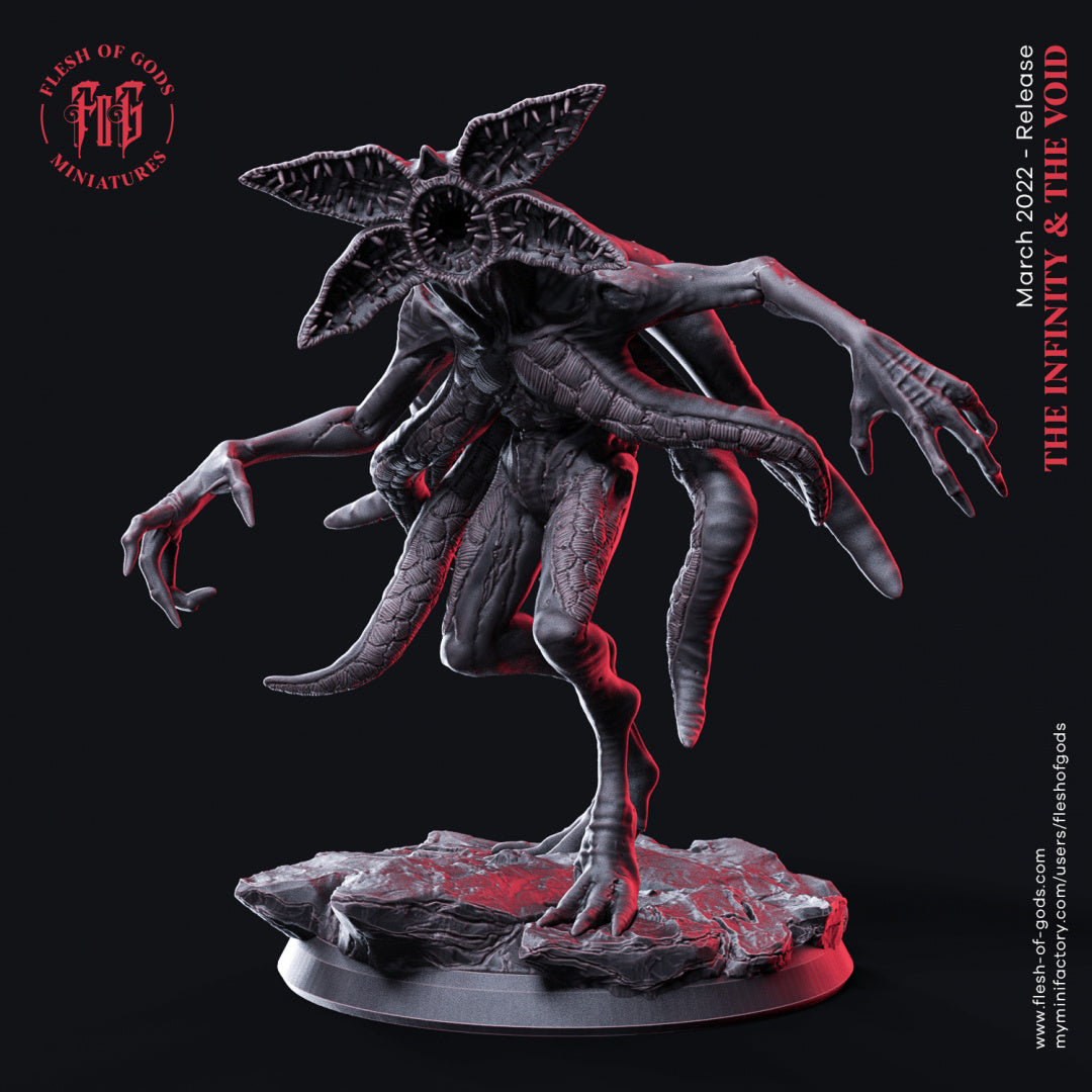 The Strange Thing - Infinity and the Void - Flesh of Gods Wargaming D&D DnD