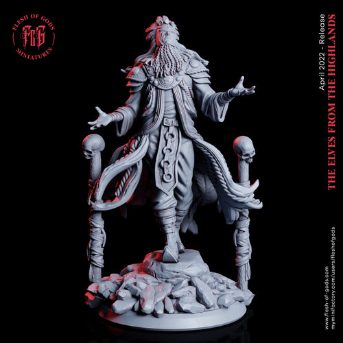 Highland Elf Shaman - Elves from the Highlands - Flesh of Gods Wargaming D&D DnD