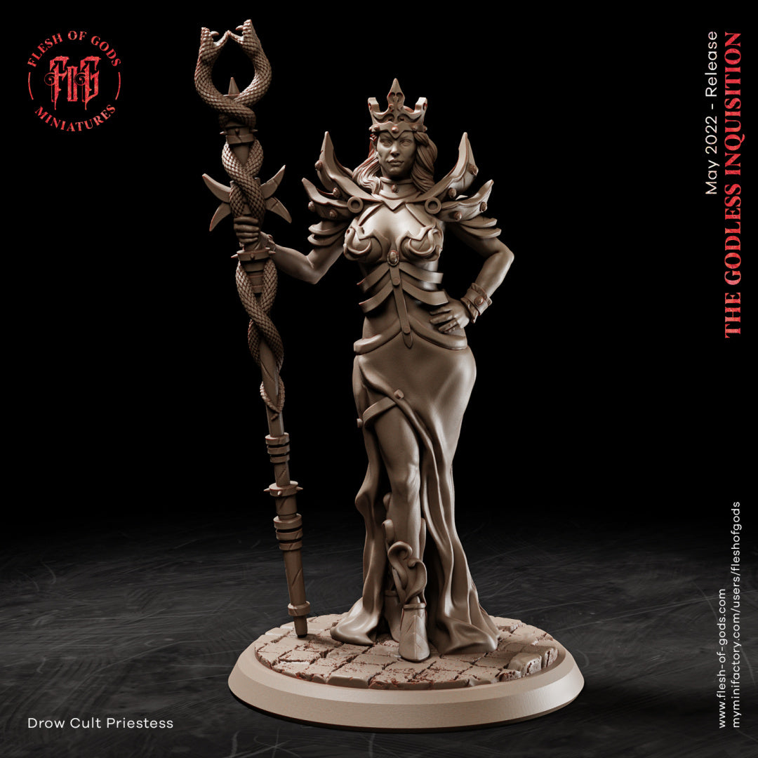Drow Cult Priestess - The Godless Inquisition - Flesh of Gods Wargamin ...