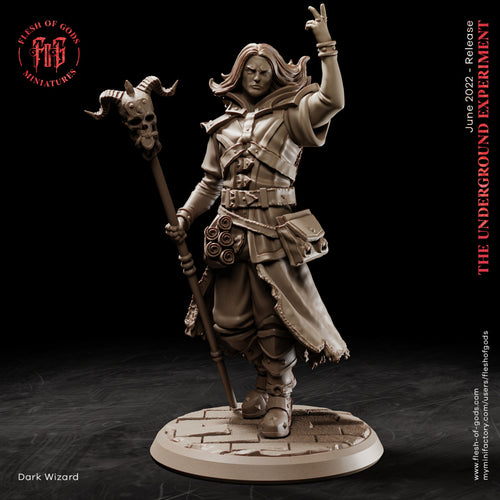 The Dark Wizard - The Underground Experiment - Flesh of Gods Wargaming D&D DnD
