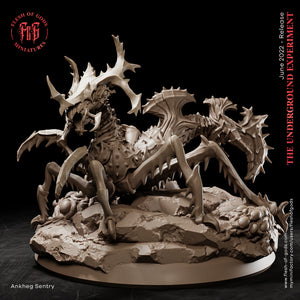 Ankheg Sentry - The Underground Experiment - Flesh of Gods Wargaming D&D DnD