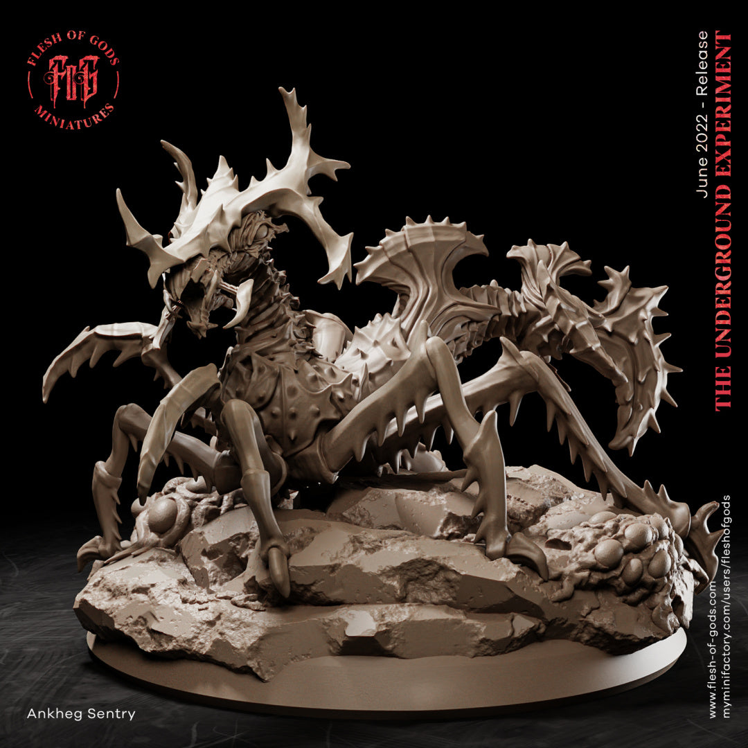 Ankheg Sentry - The Underground Experiment - Flesh of Gods Wargaming D&D DnD