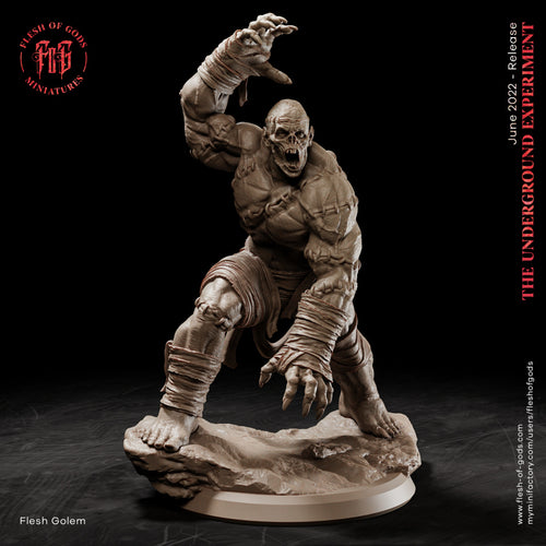 Flesh Golem - The Underground Experiment - Flesh of Gods Wargaming D&D DnD