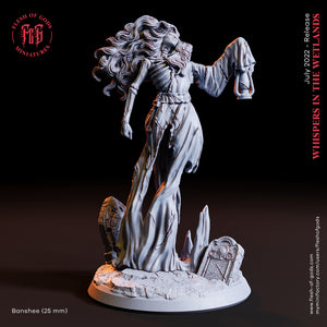 Banshee - Whispers in the Wetlands - Flesh of Gods Wargaming D&D DnD