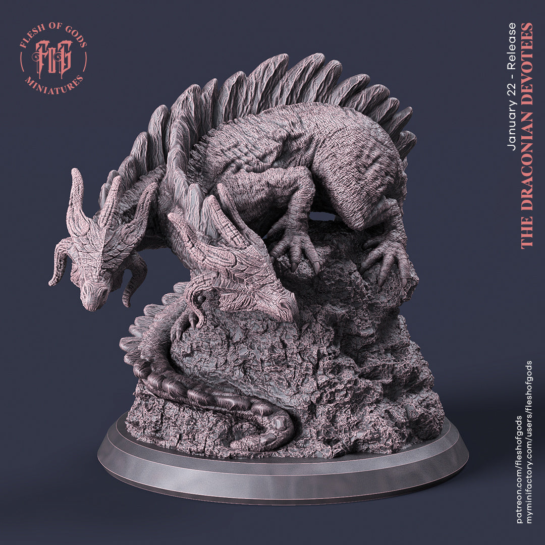 Two-Headed Drake - The Draconian Devotees - Flesh of Gods Wargaming D&D DnD