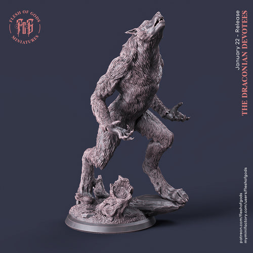 Werewolf Howling - The Draconian Devotees - Flesh of Gods Wargaming D&D DnD