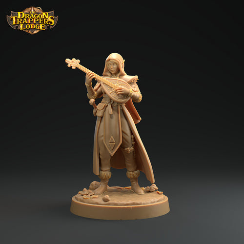 Elf Bard - Battle for the Unseelie Court - Dragon Trapper's Lodge Wargaming D&D DnD