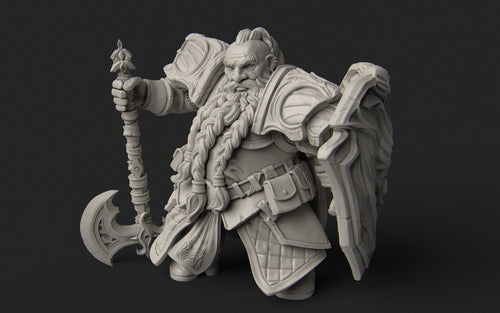 Dwarf Paladin - Nerikson - Wargaming D&D DnD