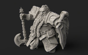 Dwarf Paladin - Nerikson - Wargaming D&D DnD