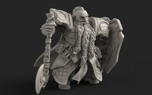 Dwarf Paladin - Nerikson - Wargaming D&D DnD