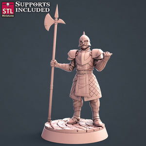 City Guard Set - STL Miniatures - Wargaming D&D DnD